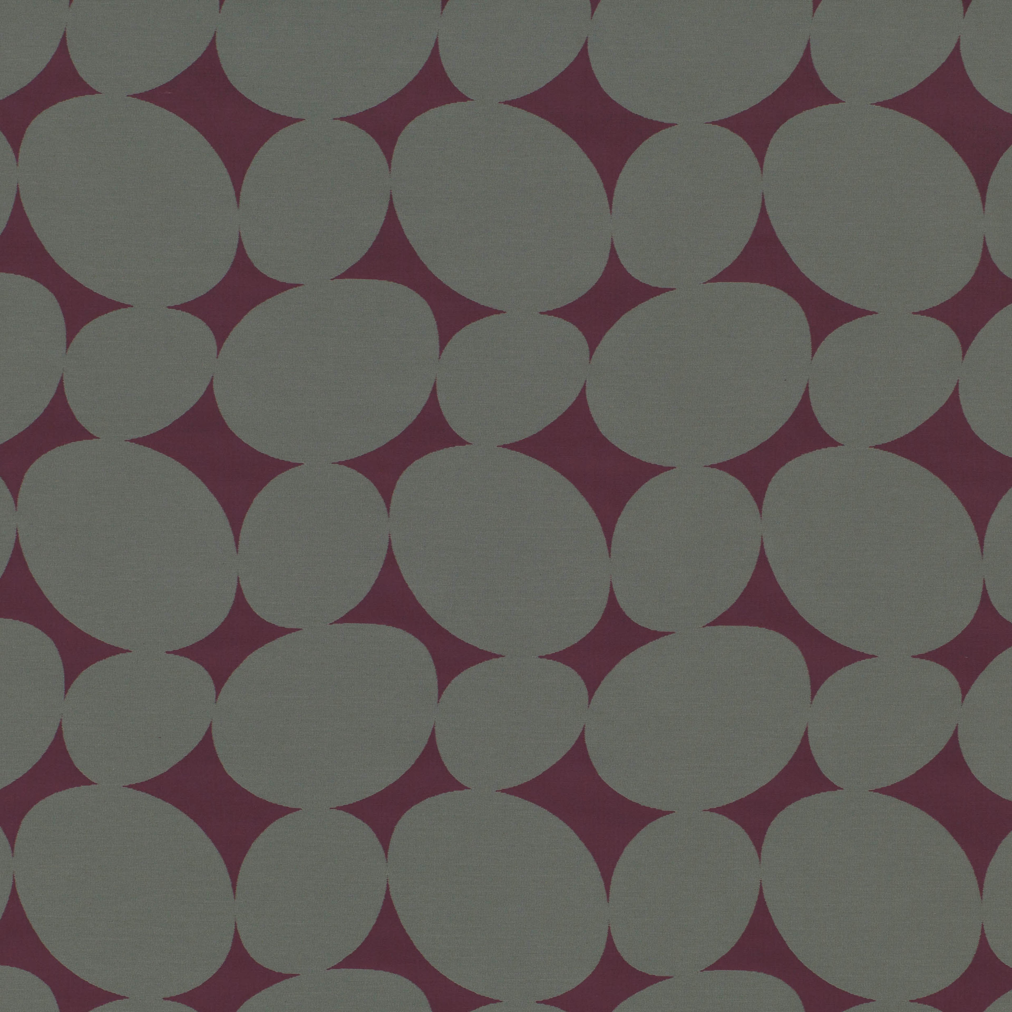 Circles Berry