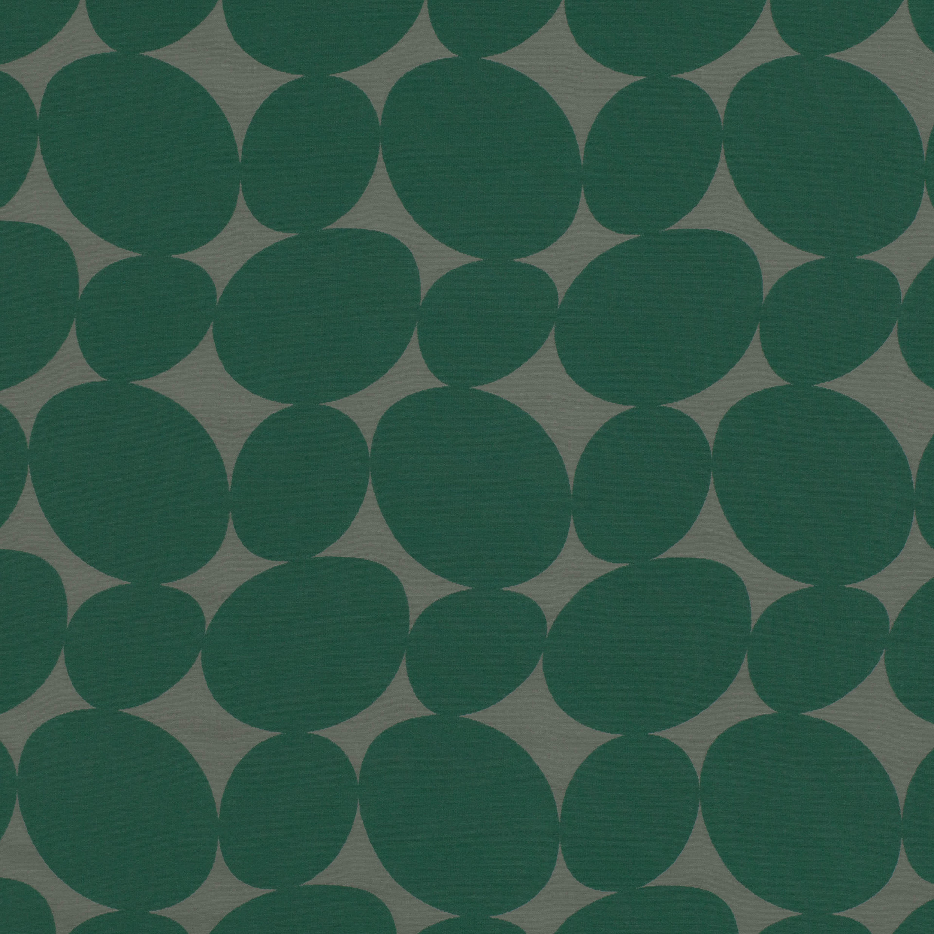 Circles Forest