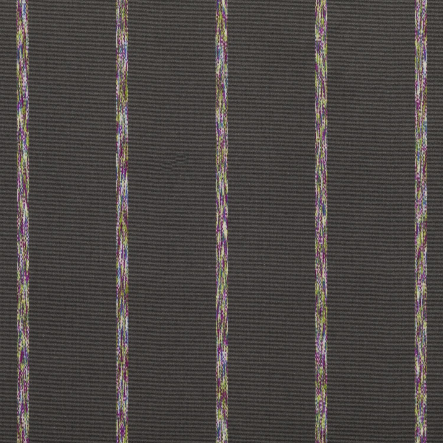 Itarsi Grey