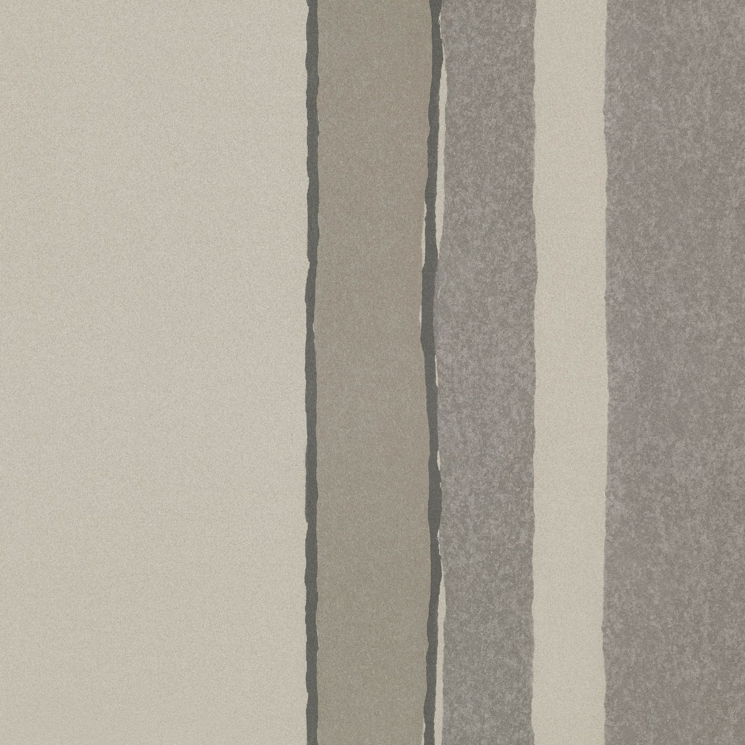 Stipa Grey