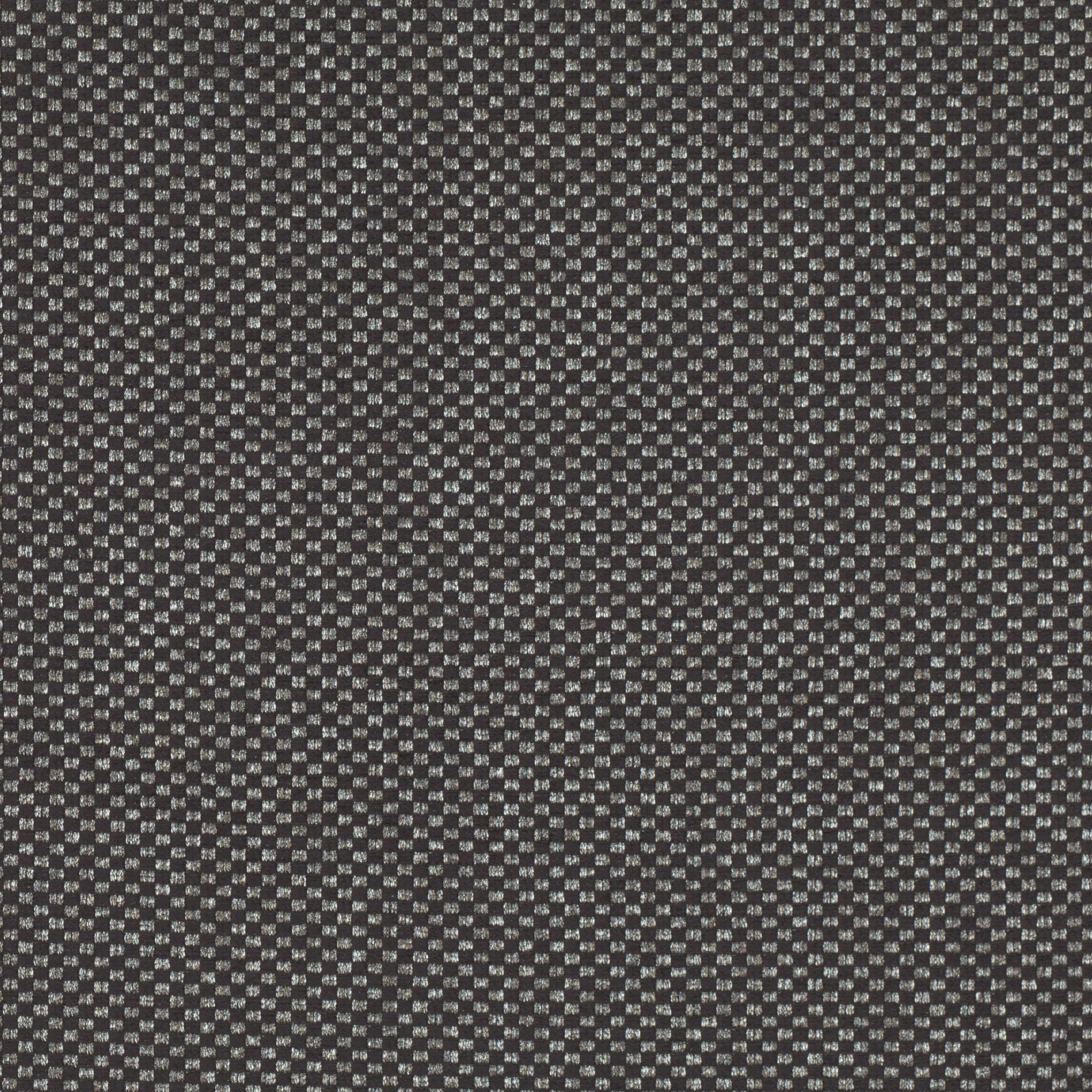 Surat Grey Seal