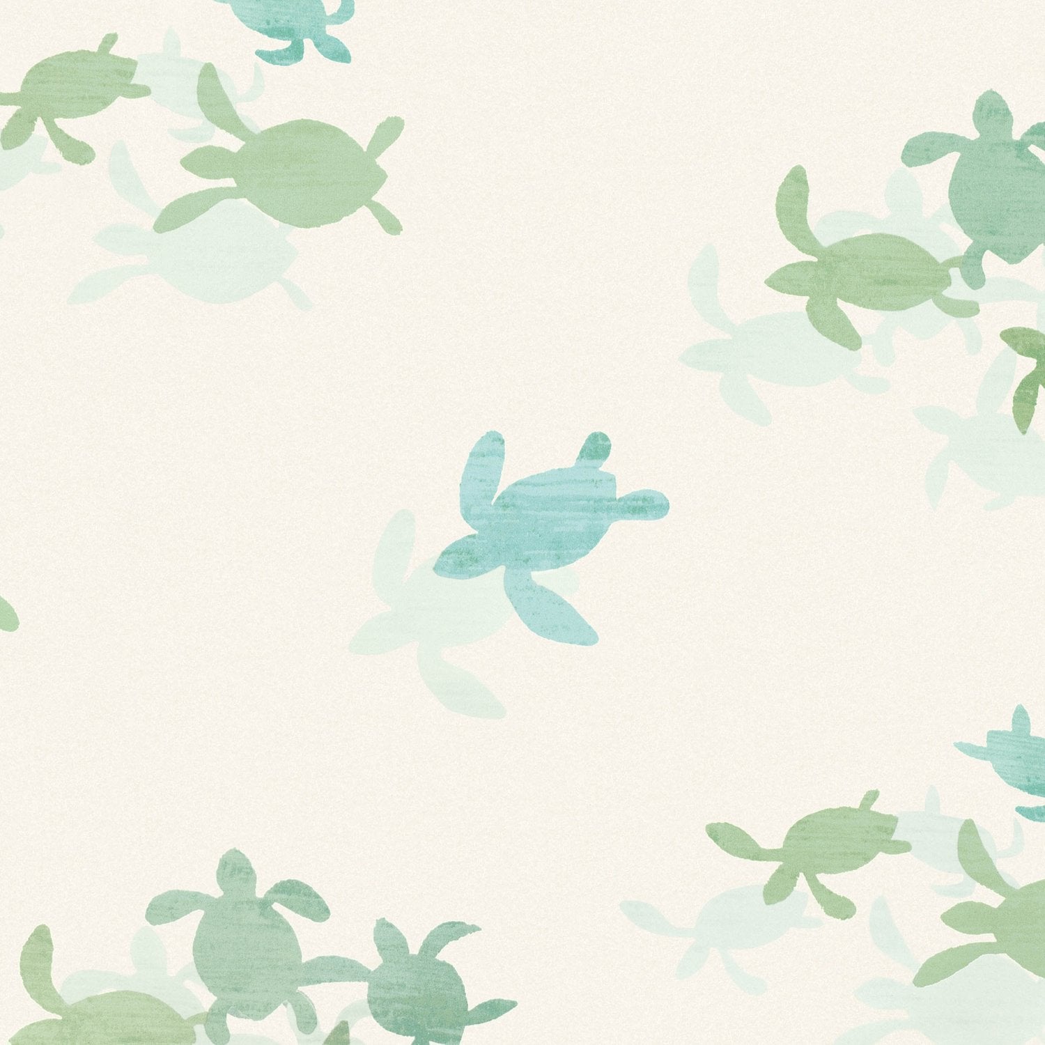 Tiny Turtles Multicolour