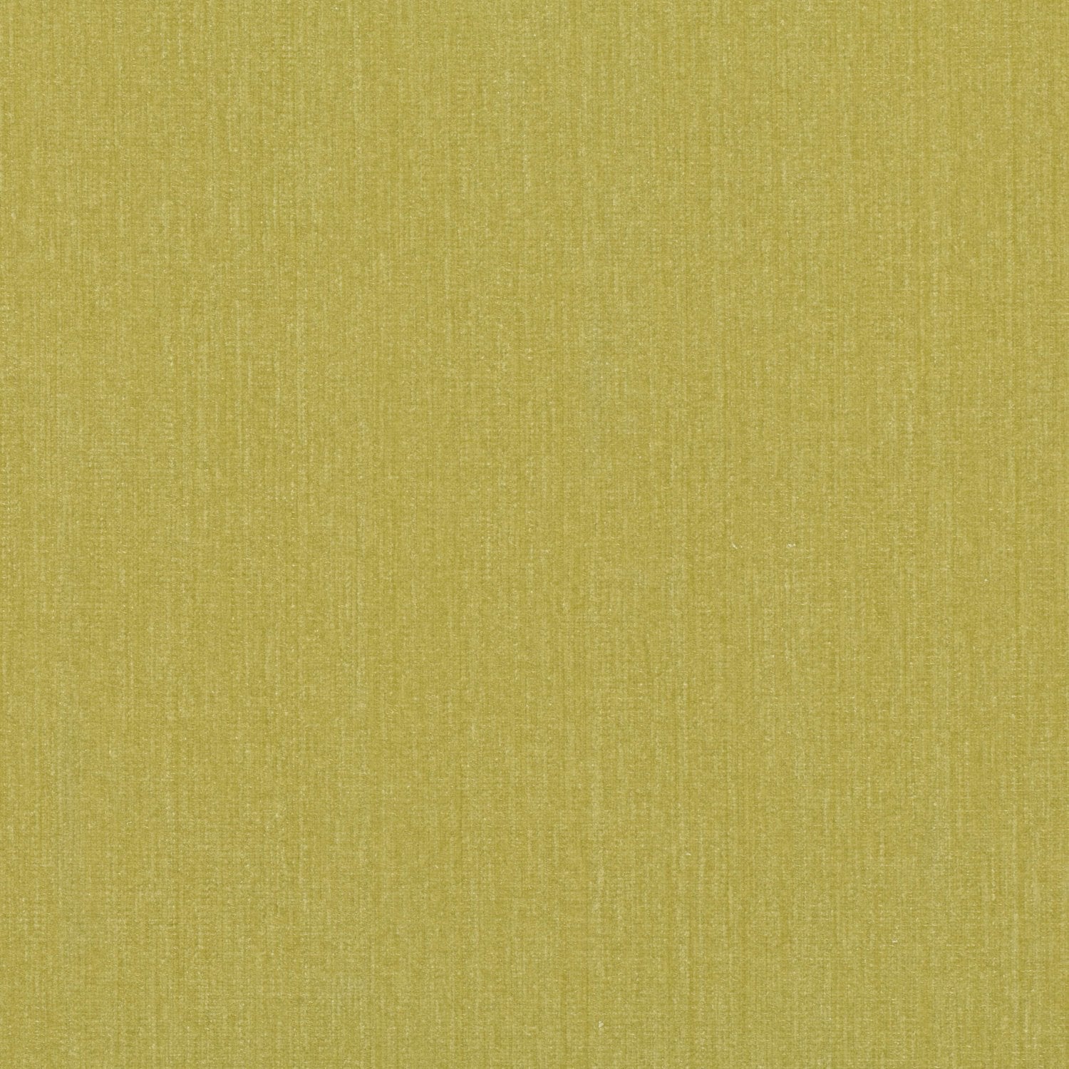 Trace Green