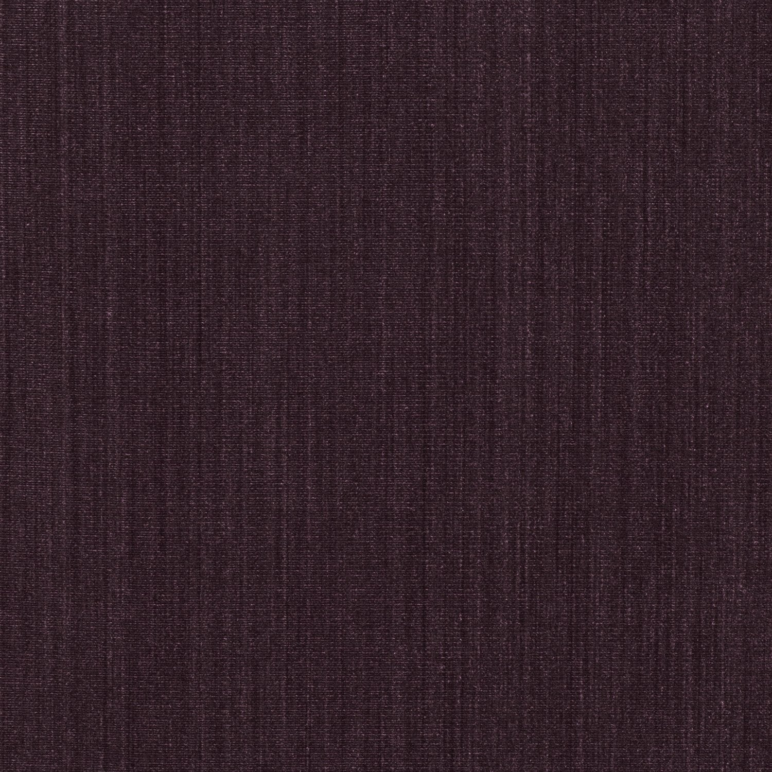 Trace Purple