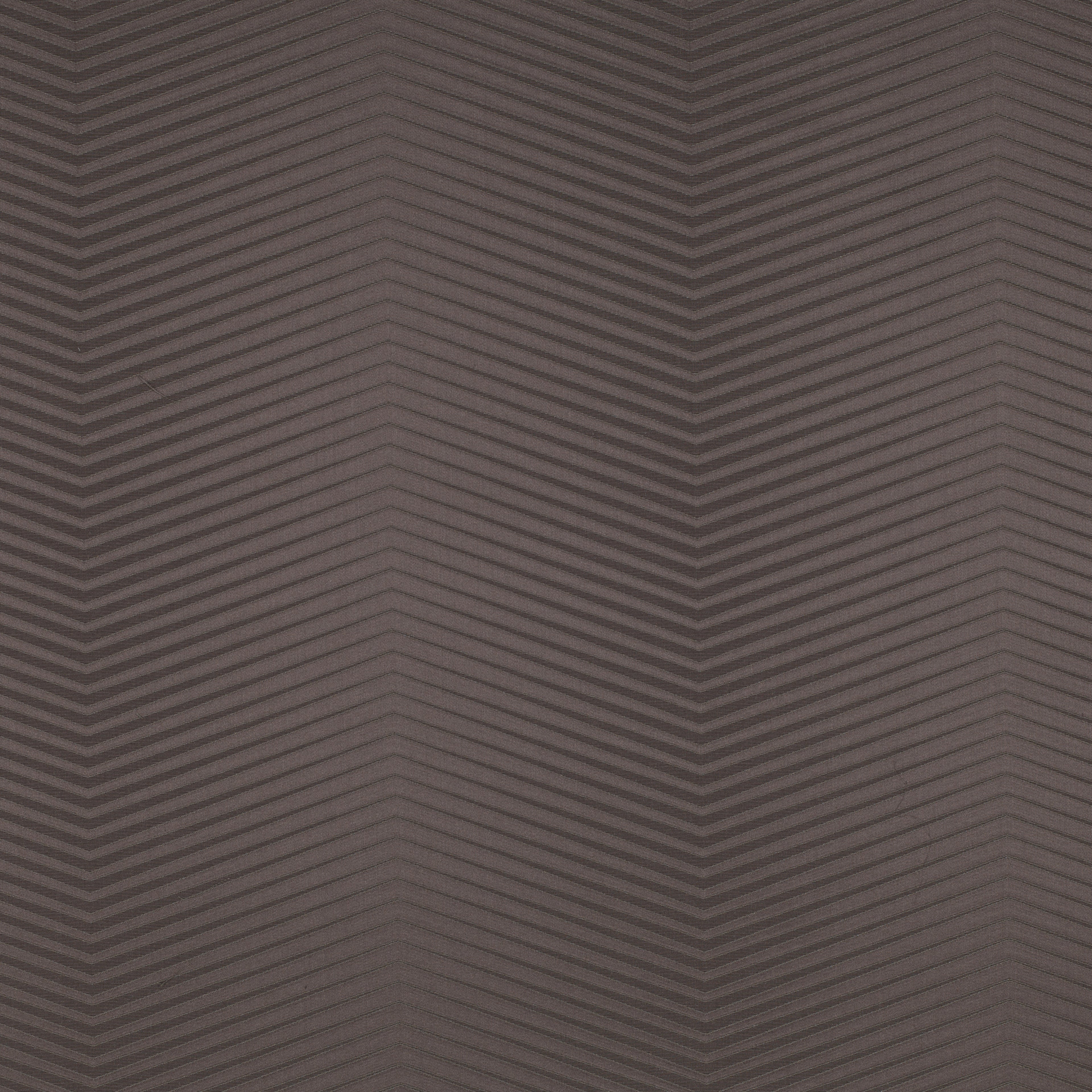 Xanadu Brown